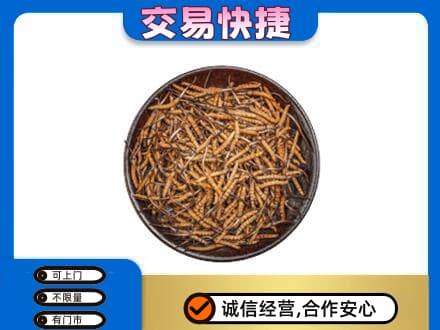 绵阳礼品回收虫草.jpg